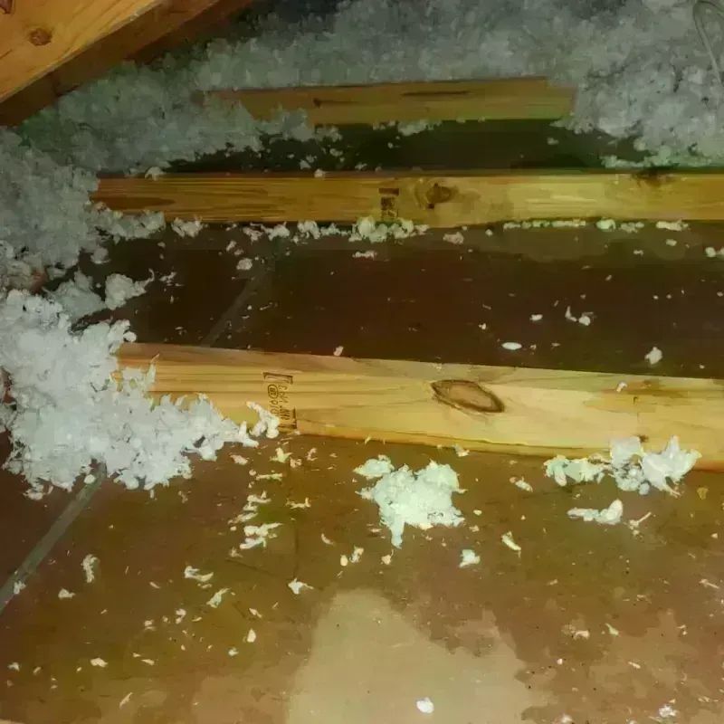 Attic Water Damage in Livingston, NJ