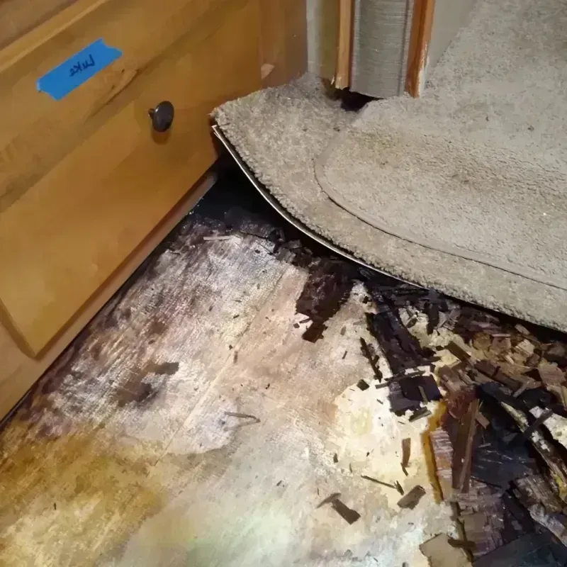 Best Wood Floor Water Damage Service in Livingston, NJ